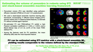 Estimating the volume of penumbra in rodents using DTI and stack-based ensemble machine learning framework.