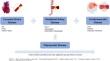 Polyvascular Disease: A Narrative Review of Risk Factors, Clinical Outcomes and Treatment.