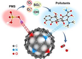 Modulating pollutant adsorption and peroxymonosulfate activation sites on Co3O4@N,O doped-carbon shell for boosting catalytic degradation activity