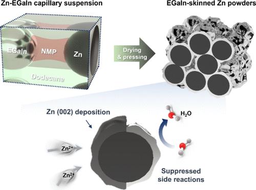 Liquid Metal-Skinned Zn Powder Anodes Enabled by Capillary Suspension