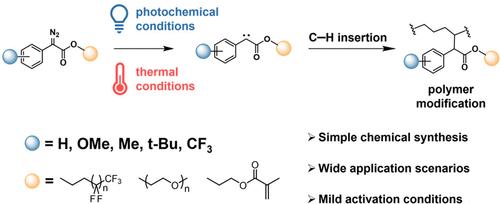 Carbene-Mediated Polymer Modification Using Diazo Compounds under Photo or Thermal Activation Conditions