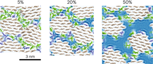 Critical comment on the assumptions leading to 24-chain microfibrils in wood