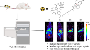 Chelator boosted tumor-retention and pharmacokinetic properties: development of <sup>64</sup>Cu labeled radiopharmaceuticals targeting neurotensin receptor.