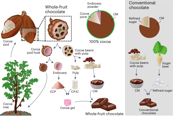 Valorization of cocoa pod side streams improves nutritional and sustainability aspects of chocolate