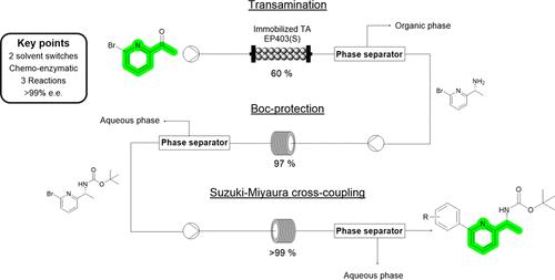 Solvent Switching in Continuous Multistep Chemoenzymatic Synthesis: Telescoping Enzymatic Synthesis of Chiral, Pyridine-Containing Amines with Cross-Coupling as a Case Study