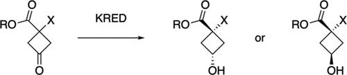 Ketoreductase-Mediated Stereodivergent Synthesis of 1,1-Disubstituted Cyclobutan-3-ols