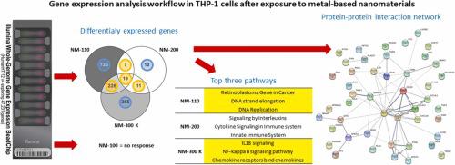 Gene expression profiles and protein-protein interaction networks in THP-1 cells exposed to metal-based nanomaterials.