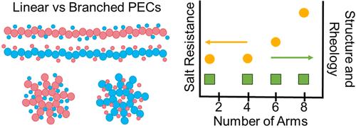 Impact of a Lightly Branched Star Polyelectrolyte Architecture on Polyelectrolyte Complexes