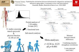 Exploring the associations between skeletal muscle echogenicity and physical function in aging adults: A systematic review with meta-analyses.