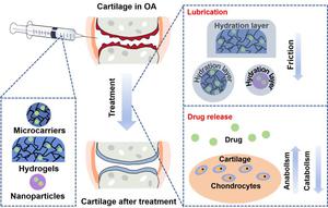 Boundary-lubricated biomaterials with drug delivery for osteoarthritis treatment