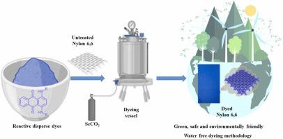 Synthesis and characterization of sustainable blue dyes: Enhancing diffusion on nylon fabrics with supercritical CO2 for eco-friendly dyeing methods