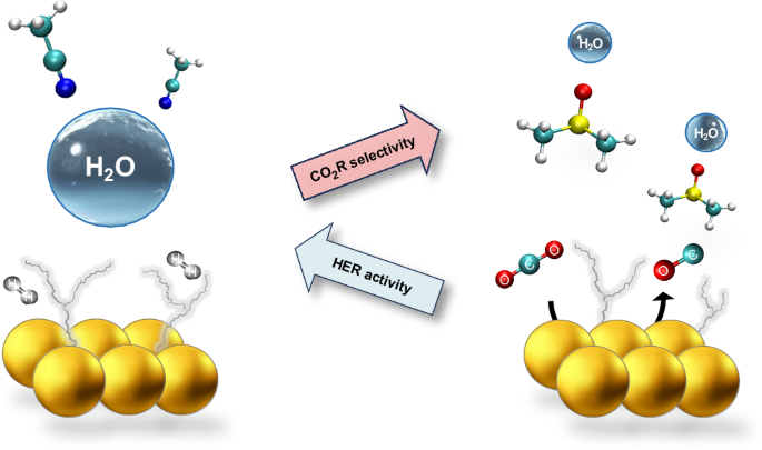 Modulating water hydrogen bonding within a non-aqueous environment controls its reactivity in electrochemical transformations