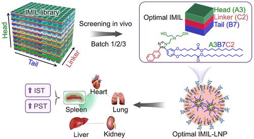 Multicomponent Synthesis of Imidazole-Based Ionizable Lipids for Highly Efficient and Spleen-Selective Messenger RNA Delivery