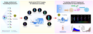 Development and evaluation of albumin binder-conjugated heterodimeric radiopharmaceuticals targeting integrin α<sub>v</sub>β<sub>3</sub> and CD13 for cancer therapy.