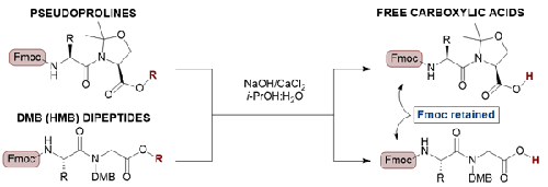 Improved Synthesis of Pseudoproline and DMB Dipeptide Carboxylic Acids