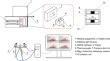 Radical involved reactive wetting and retarding mechanism of alumina refractory ceramic by molten slags under weak static magnetic field