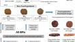 Blend of Baru (Dipteryx alata Vog.) By-Products as Nutritive and Healthy Food Ingredients: Chemical Composition, Functional Properties and Application in Plant-Based Burger.