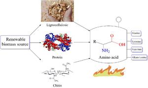 Degradation pathways of amino acids during thermal utilization of biomass: a review