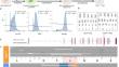 Human iPSC and CRISPR targeted gene knock-in strategy for studying the somatic TIE2L914F mutation in endothelial cells