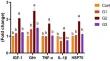 Probiotic Efficacy in Aquaculture: The Role of Technospore® (Bacillus coagulans) in Improving Nile Tilapia (Oreochromis niloticus) Performance and Disease Resistance: a Study on Gut Health, Immunological Response, and Gene Expression.