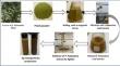 Synthesis and Characterization of Variable-Sized Silver Nanoparticles Using Pistacia palaestina Leaf Extract