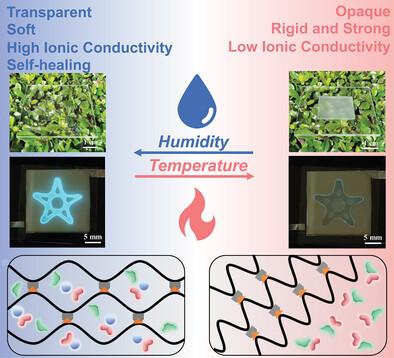 A Smart Self-Healing Material with Reversible Optical, Mechanical, and Electrical Transition Induced by Humidity and Temperature