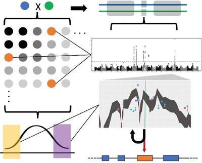 Agile Genetics: Single gene resolution without the fuss