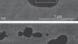 Mechanical and Thermomechanical Characteristics of the Ni50Ti47.5Hf2.5 Alloy with a High-Temperature Shape Memory Effect