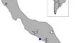 Sponge-associated microbes in the twilight zone of Curaçao