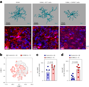 Targeting TAK1 in microglia to treat CAR T cell neurotoxicity