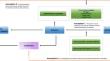 Inflammatory cytokines and their potential role in kidney stone disease: a Mendelian randomization study.