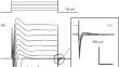 Calcium-Activated Chloride Channels: The Role of Potassium Ions