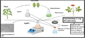 Unraveling the mysteries of silver nanoparticles: synthesis, characterization, antimicrobial effects and uptake translocation in plant-a review.