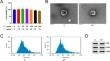 Combined Catalpol and Tetramethylpyrazine Promote Axonal Plasticity in Alzheimer's Disease by Inducing Astrocytes to Secrete Exosomes Carrying CDK5 mRNA and Regulating STAT3 Phosphorylation.