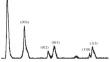 MgAl-Layered Double Hydroxides: Synthesis, Characteristics, and Their Effects on Flame Retardant and Mechanical Properties of Casting Polyurethane