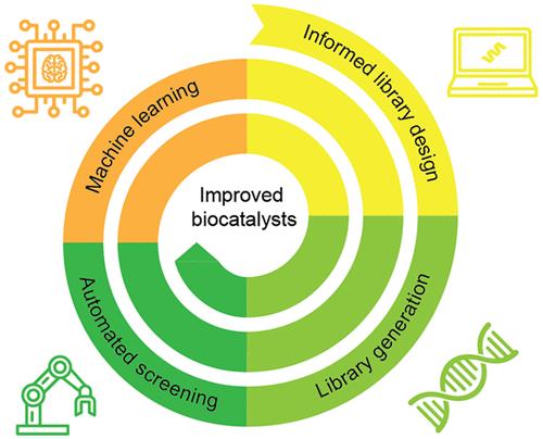 Enhanced Sequence-Activity Mapping and Evolution of Artificial Metalloenzymes by Active Learning