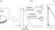 L-Carnosine Dipeptide (β-Alanyl-L-Histidine): Cryoprotector of Nervous Tissue of Nonhibernating Animals