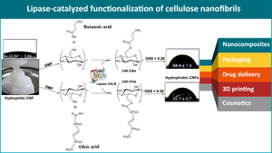 Reducing Hydrophilicity of Cellulose Nanofibrils Through Lipase-Catalyzed Surface Engineering with Renewable Grafting Agents