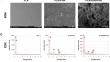 Bioinspired poly-dopamine/nano-hydroxyapatite: an upgrading biocompatible coat for 3D-printed polylactic acid scaffold for bone regeneration.