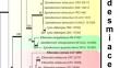 Redefining Ellisembia sensu stricto with a reassessment of related taxa in Sordariomycetes