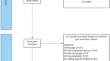 Mental Health and Well-being in Adolescent and Adult Siblings of Persons with Severe Mental Illness: A Scoping review