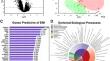 Decoding Molecular Mechanisms Underlying Outcomes After Ischemic Stroke Thrombectomy by RNA Sequencing of Retrieved Clots.