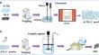 Effect of TiC/Bi on Self-Lubricating Properties of Al–Bi-TiC Alloy