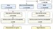 Adverse Events of Oral GLP-1 Receptor Agonist (Semaglutide Tablets): A Real-World Study Based on FAERS from 2019 to 2023.