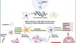 Exploring molecular mechanisms, therapeutic strategies, and clinical manifestations of Huntington's disease.