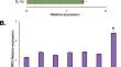 Inflammasome functional activities in B lymphocytes.