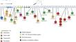 The detection of a strong episignature for Chung-Jansen syndrome, partially overlapping with Börjeson-Forssman-Lehmann and White-Kernohan syndromes.