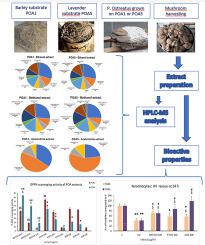 Enhanced antioxidant and anti-inflammatory activity of the extracts of Pleurotus ostreatus edible mushroom grown on Lavandula angustifolia residues