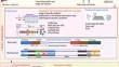 Advances in long-read single-cell transcriptomics.