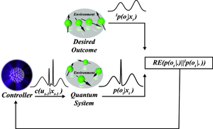 From certainty to chance: probabilistic insights into quantum control